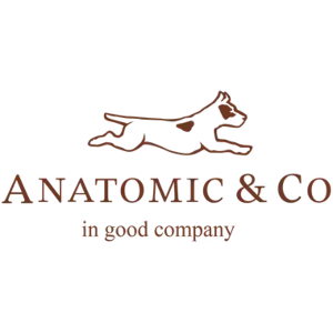 Anatomic Shoes